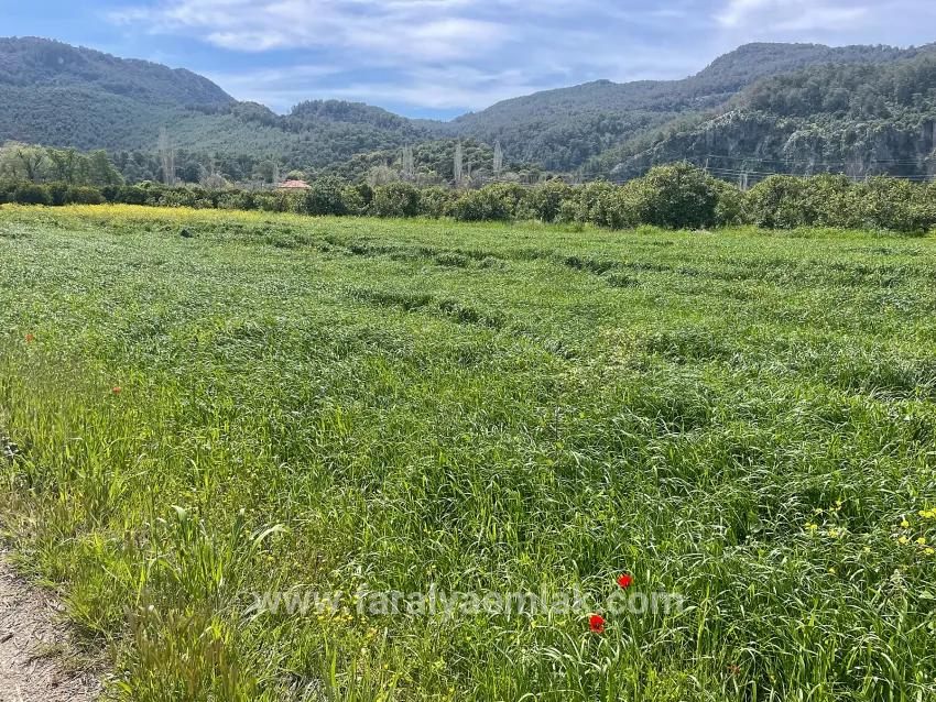In Okçular Einem 736m2 Großen, 250m2 Großen Bau Genehmigten Verkäuflichen Grundstück