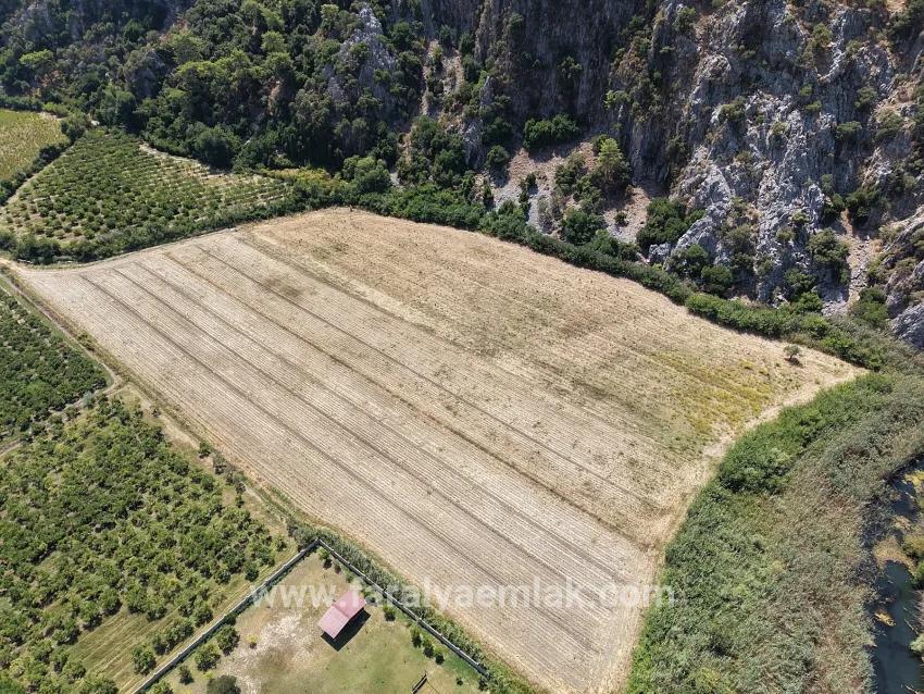 Feld Zu verkaufen in Dalyan Bz. Ortaca - Feld-Zonierung - 20.786 m²