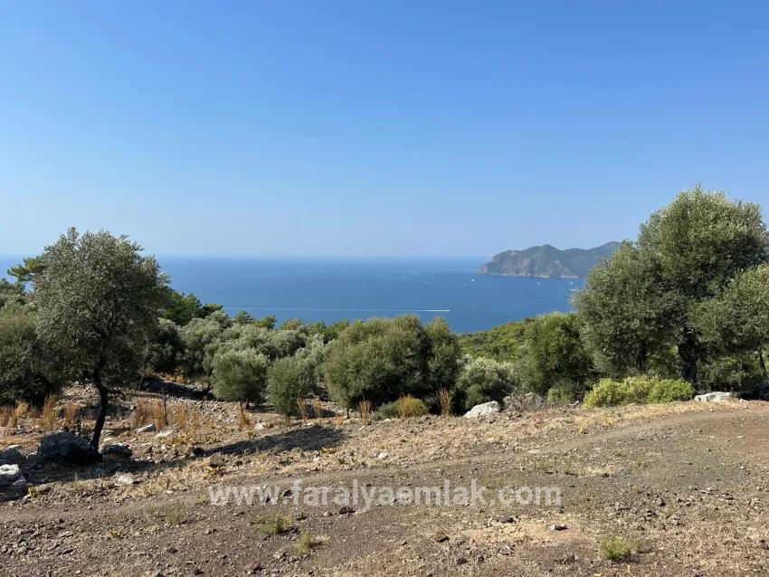 Feld Zu verkaufen in Çandır Bz. Köyceğiz - Feld-Zonierung - 21.000 m²