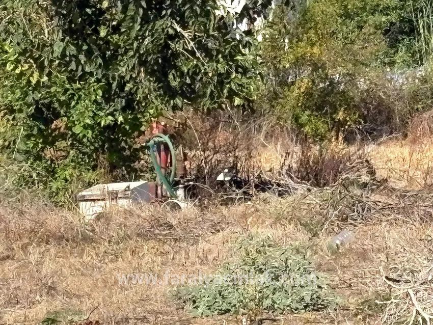 Land Zu Verkaufen in Dalyan Bz. Ortaca - Gehäuse-Zonierung - 3.180 m²