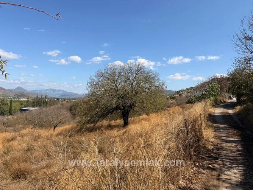 Feld Zu verkaufen in Dalyan Bz. Ortaca - Feld-Zonierung - 5.000 m²