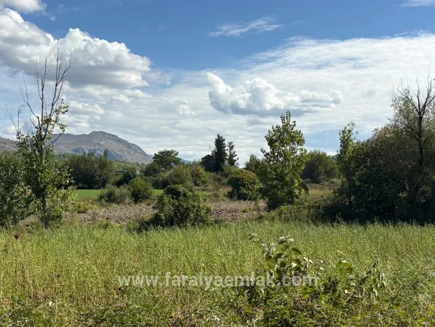 Feld Zu Verkaufen in Zeytinalanı Bz. Köyceğiz - Feld-Zonierung - 10.500 m²