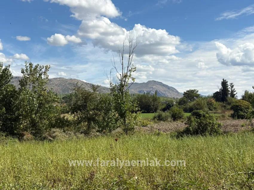 Feld Zu Verkaufen in Zeytinalanı Bz. Köyceğiz - Feld-Zonierung - 10.500 m²