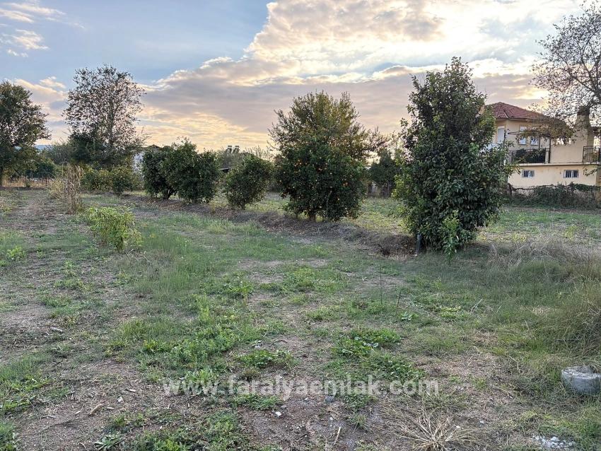 7.450 M² Großes Grundstück In Dalyan Mit 5%iger Zonierung Zu Verkaufen.