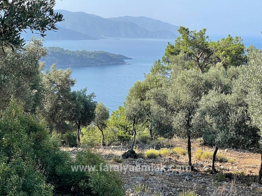 Schnäppchengrundstück Zum Verkauf Mit Meerblick In Der Gegend Von Ekincik-çandır.