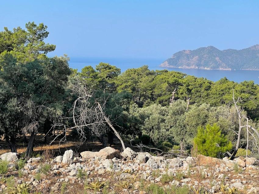Schnäppchengrundstück Zum Verkauf Mit Meerblick In Der Gegend Von Ekincik-çandır.