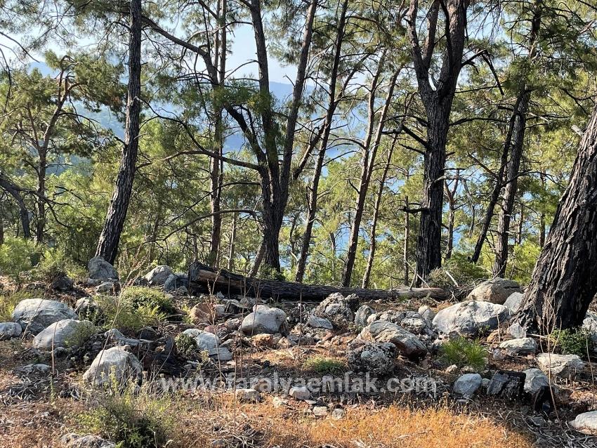 Schnäppchengrundstück Zum Verkauf Mit Meerblick In Der Gegend Von Ekincik-çandır.