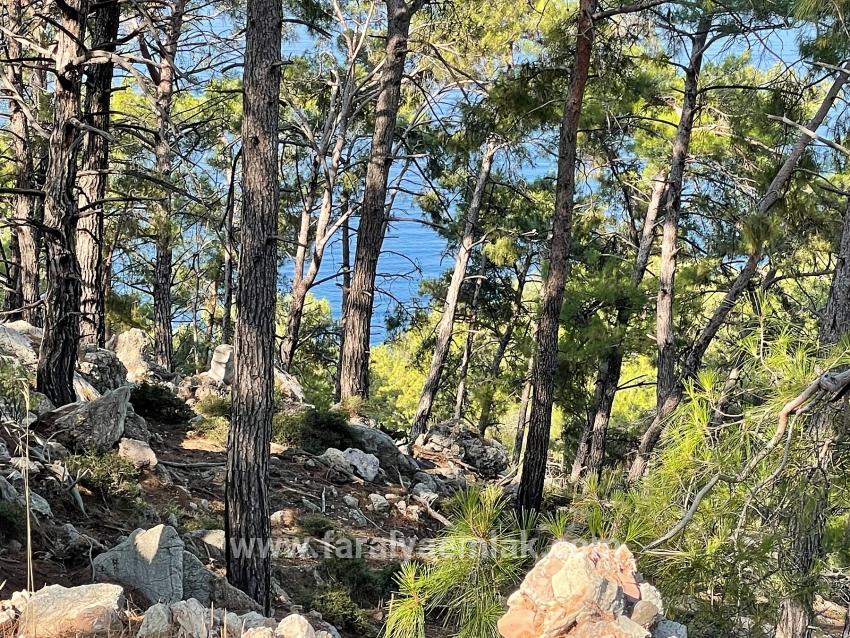 Schnäppchengrundstück Zum Verkauf Mit Meerblick In Der Gegend Von Ekincik-çandır.