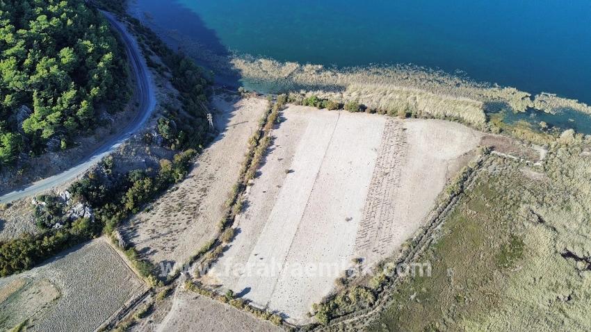 Feld Zu Verkaufen in Sultaniye Bz. Köyceğiz - Feld-Zonierung - 3.210 m²