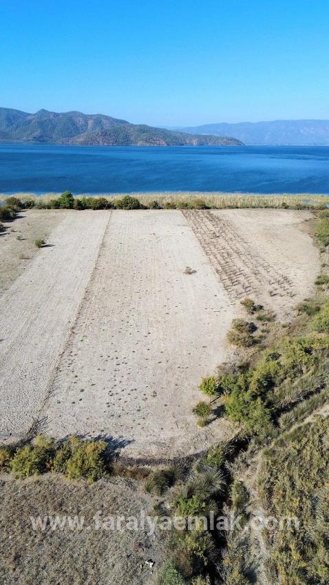 Feld Zu Verkaufen in Sultaniye Bz. Köyceğiz - Feld-Zonierung - 3.210 m²