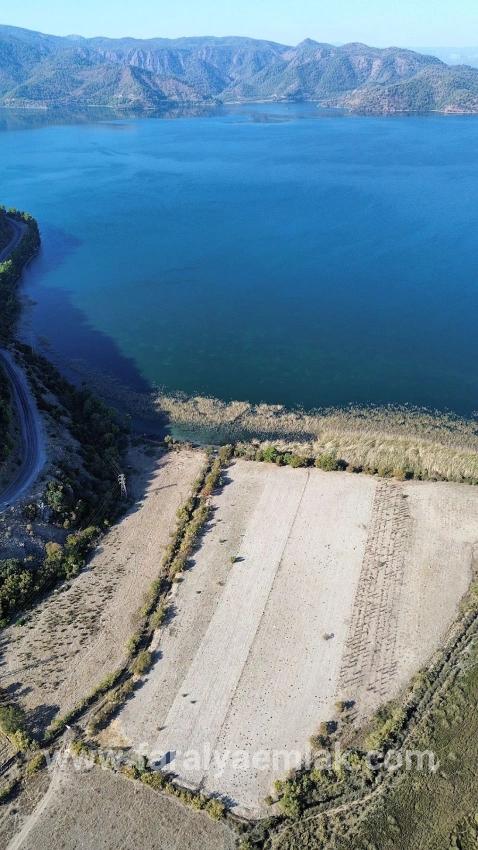 Feld Zu Verkaufen in Sultaniye Bz. Köyceğiz - Feld-Zonierung - 3.210 m²