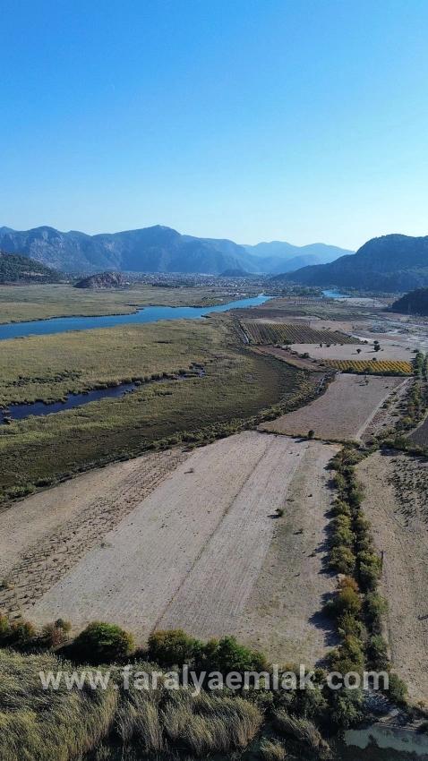 Feld Zu Verkaufen in Sultaniye Bz. Köyceğiz - Feld-Zonierung - 3.210 m²