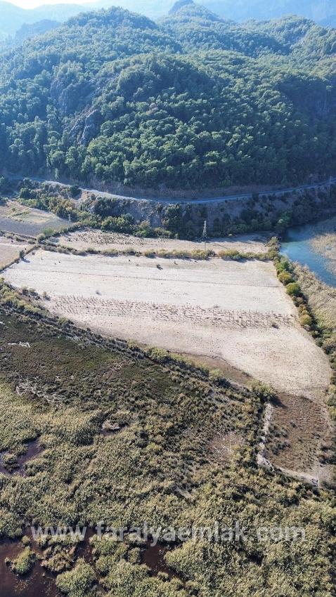 Feld Zu Verkaufen in Sultaniye Bz. Köyceğiz - Feld-Zonierung - 3.210 m²