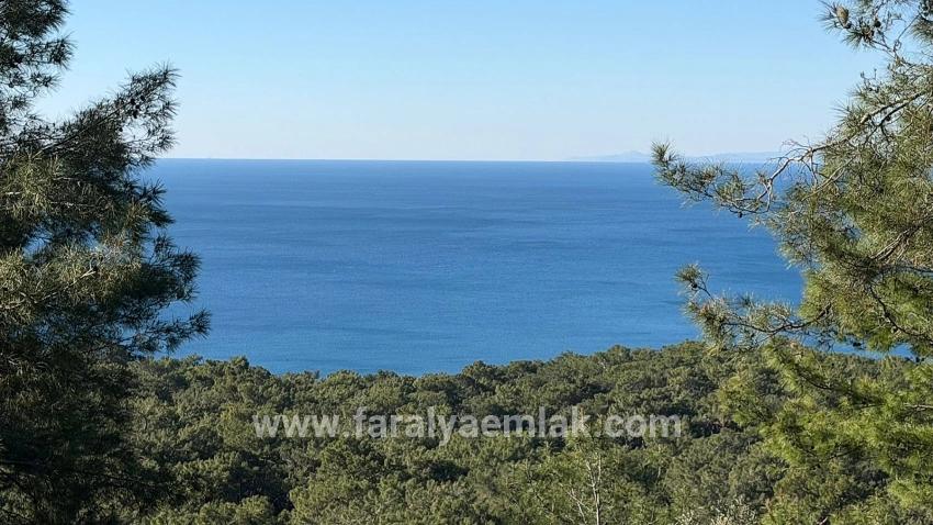 Feld Zu verkaufen in Çandır Bz. Köyceğiz - Gehäuse-Zonierung - 5.715 m²