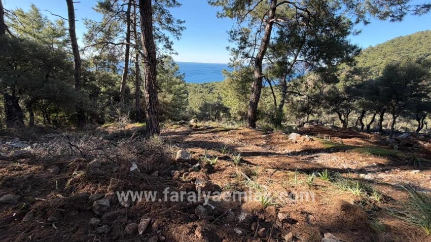2b-feld Von 5715 M2 Zum Verkauf Mit Vollem Meerblick In Çandır