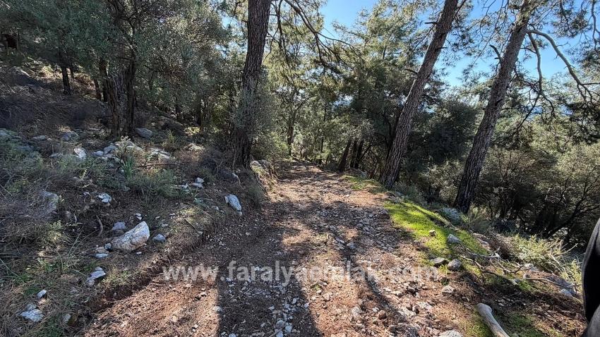 2b-feld Von 5715 M2 Zum Verkauf Mit Vollem Meerblick In Çandır