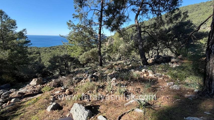 2b-feld Von 5715 M2 Zum Verkauf Mit Vollem Meerblick In Çandır