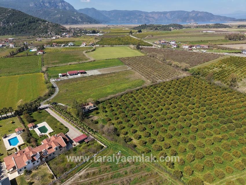 17.550 M2 Weinberg-bahce Zum Verkauf In Der Nähe Des Dalyan Centers