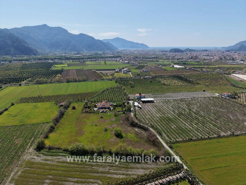 17.550 M2 Weinberg-bahce Zum Verkauf In Der Nähe Des Dalyan Centers