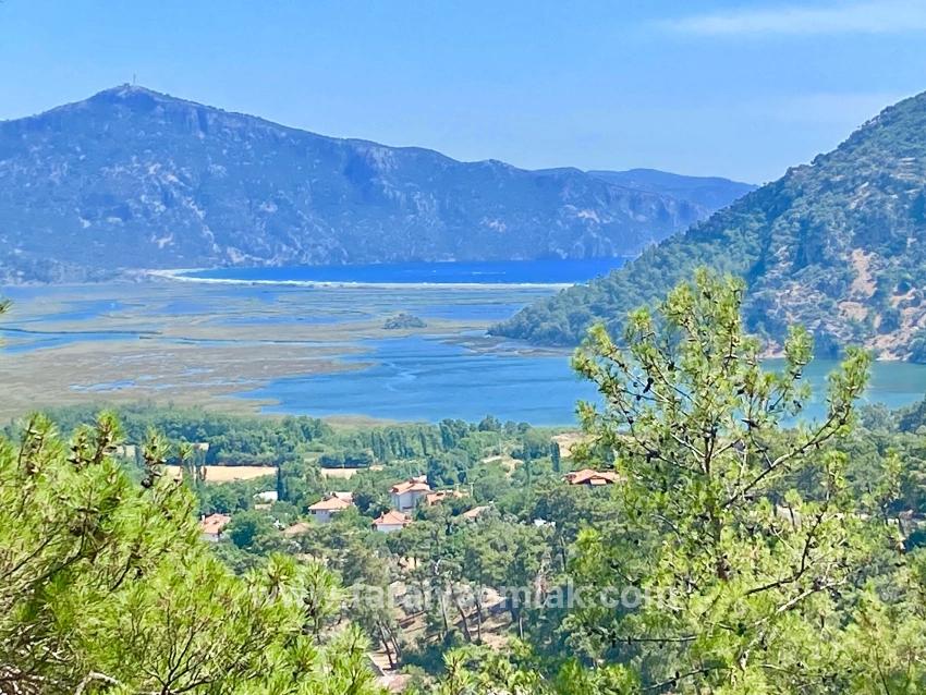Feld Zu verkaufen in Çandır Bz. Köyceğiz - Feld-Zonierung - 1.252 m²