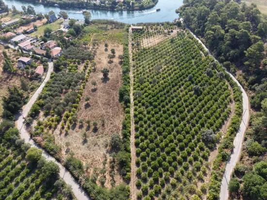 Im Köyceğiz Çandır Mahallesinde kanala sıfır 20.000m2 satılık Feld