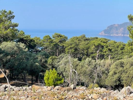 Schnäppchengrundstück Zum Verkauf Mit Meerblick In Der Gegend Von Ekincik-çandır.