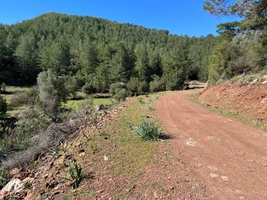 Grundstück Zum Verkauf In Gökbel, Umgeben Von Natur Und Wald.