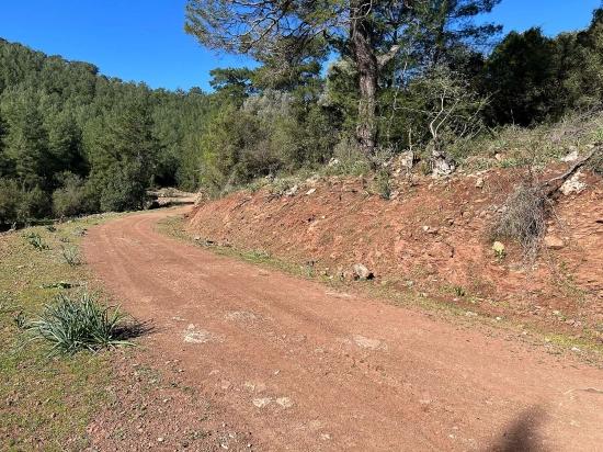 Grundstück Zum Verkauf In Gökbel, Umgeben Von Natur Und Wald.