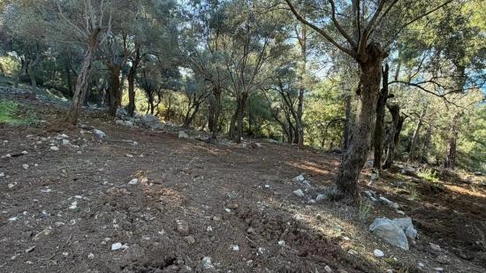 2b-feld Von 5715 M2 Zum Verkauf Mit Vollem Meerblick In Çandır