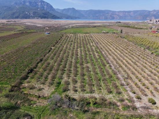 16.710 M² Granatapfelgarten Zum Verkauf Mit Seeblick In Eskiköy