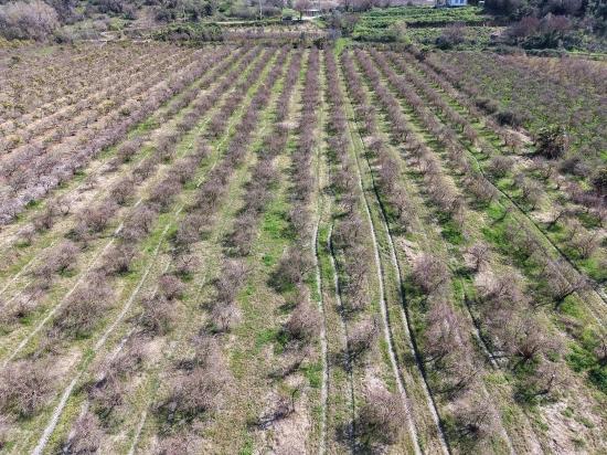 16.710 M² Granatapfelgarten Zum Verkauf Mit Seeblick In Eskiköy