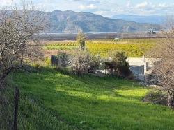 Feld Zu verkaufen in Dalyan Bz. Ortaca - Feld-Zonierung - 11.230 m²