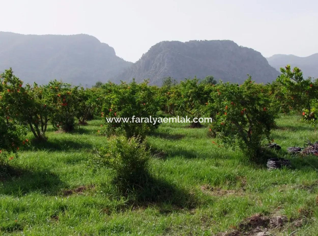 Merkez Dalyan Iztuzu See-Garten-Villa Zum Verkauf