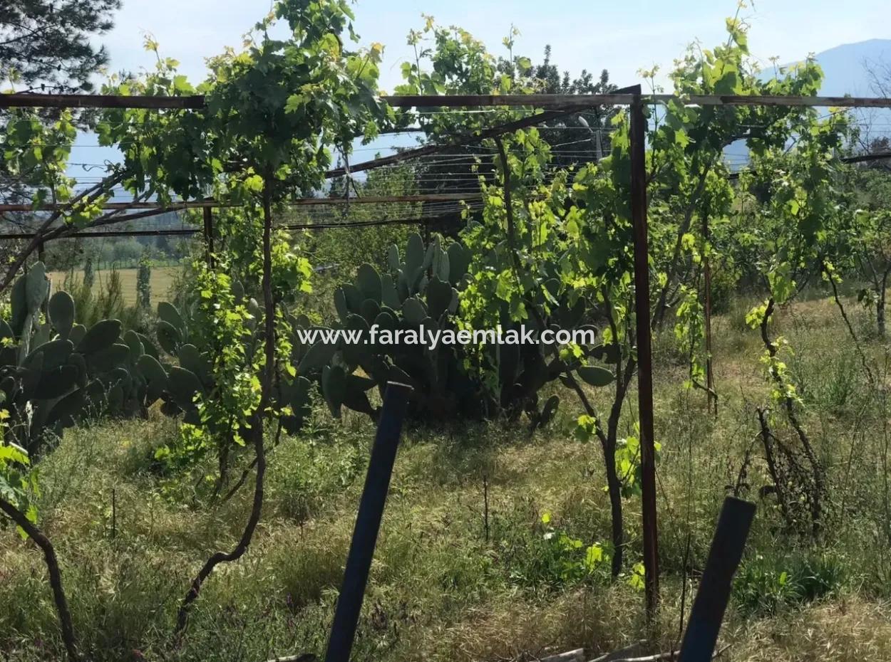 Ackerland Zum Verkauf In Seydikemer Korubuku 76000M2