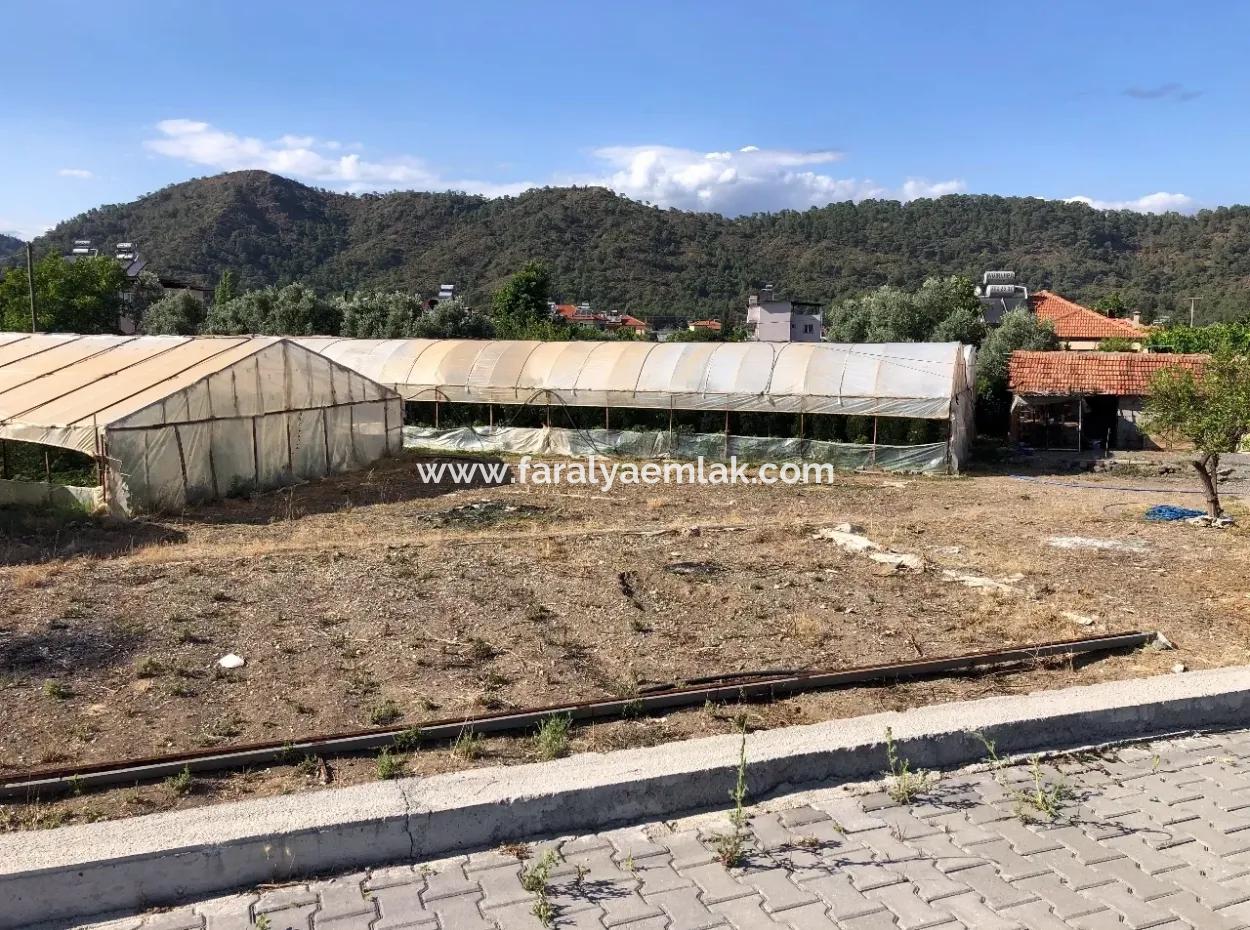 Oriya 560 560 Sq Ft Grundstück Zum Verkauf Gewerbeflächen Hauptstraße Zum Verkauf Eksiliyurt Null