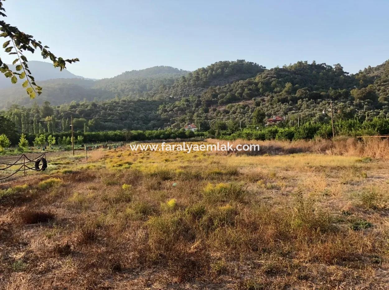 2300M2 Grundstück Zum Verkauf In Der Nähe Des Zentrums Des Grundstücks Zum Verkauf