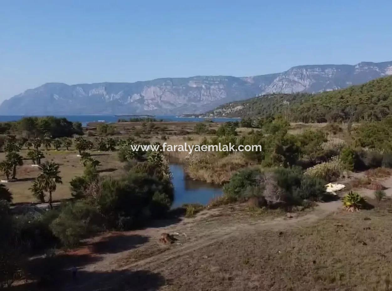 Land Zum Verkauf In 'Aml'da Marmaris 'Aml'da Meerblick 11720M2 Land Zu Verkaufen