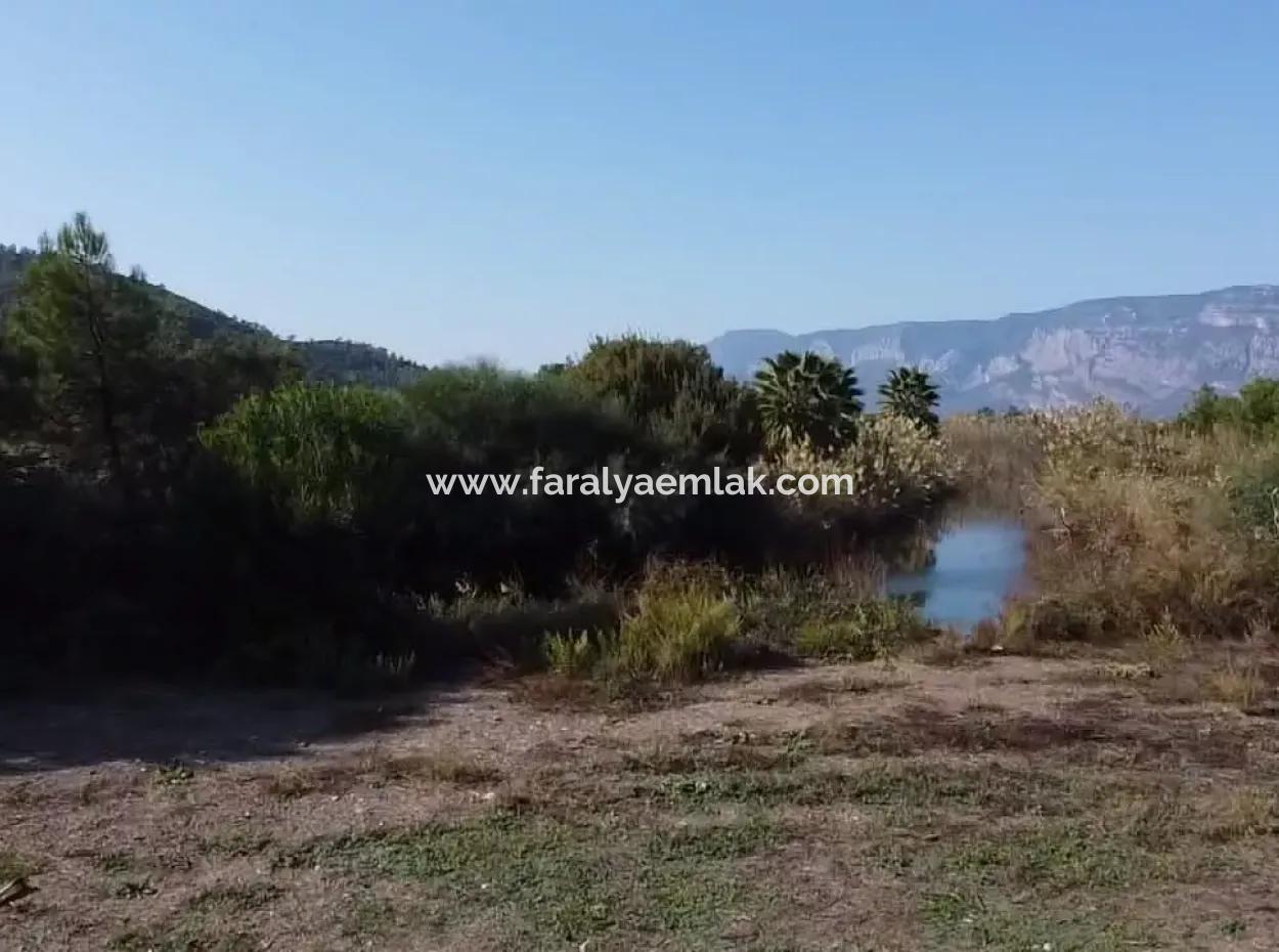 Land Zum Verkauf In 'Aml'da Marmaris 'Aml'da Meerblick 11720M2 Land Zu Verkaufen