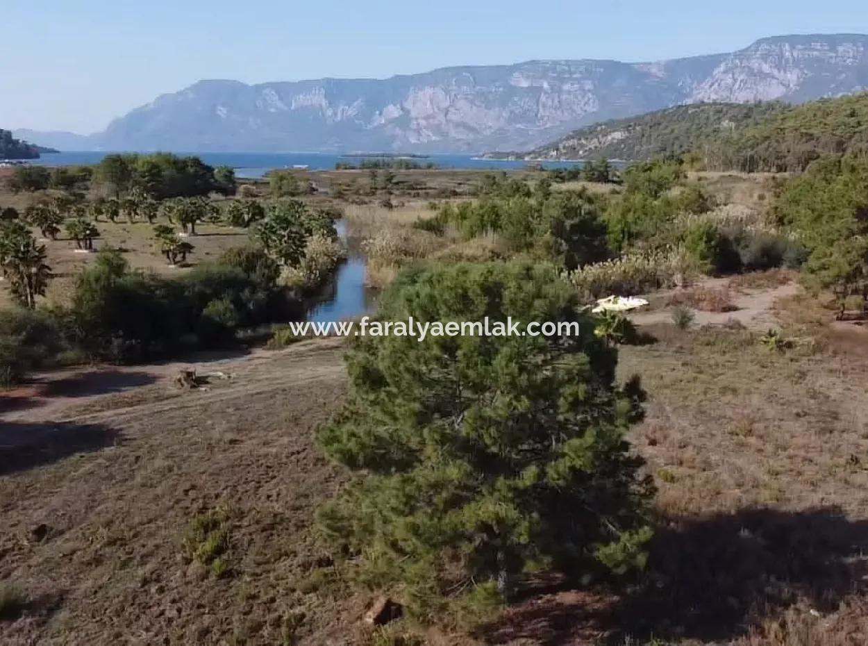 Land Zum Verkauf In 'Aml'da Marmaris 'Aml'da Meerblick 11720M2 Land Zu Verkaufen