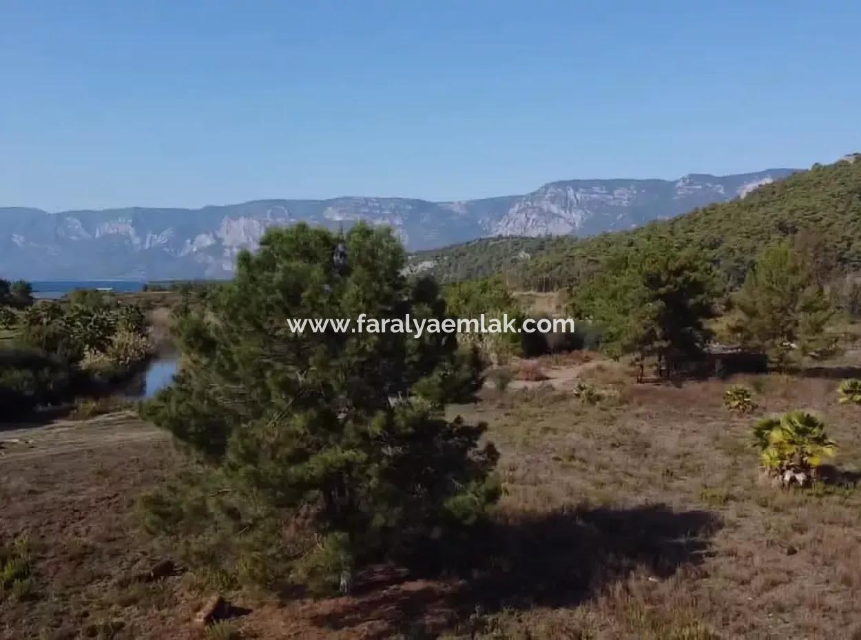 Land Zum Verkauf In 'Aml'da Marmaris 'Aml'da Meerblick 11720M2 Land Zu Verkaufen