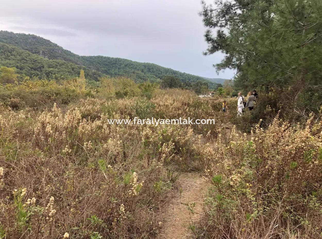 Land Zum Verkauf Null Zu 'Aml' Kanal 28768M2 Land Zum Verkauf Mit Meerblick In Camlida