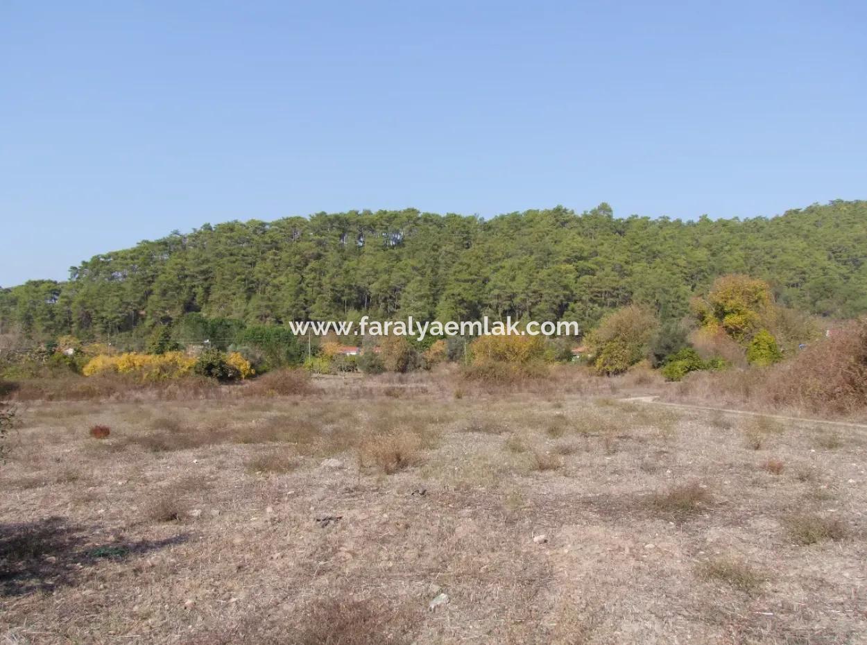 6850M2 Zonierungland Mit Meerblick In 'Aml'