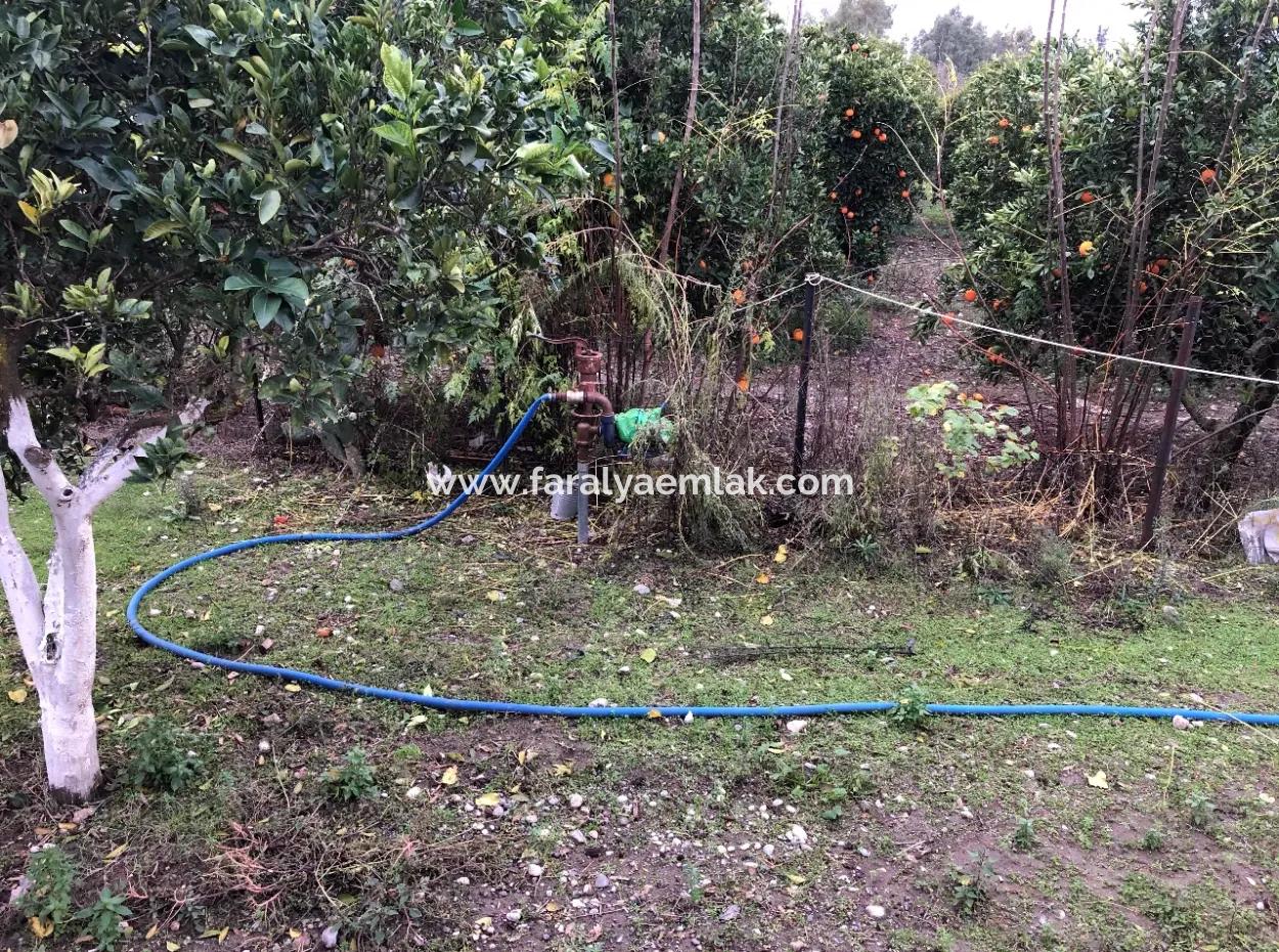 Eingeschossiges Einfamilienhaus Zum Verkauf In 1222M2 Grundstück In Archers