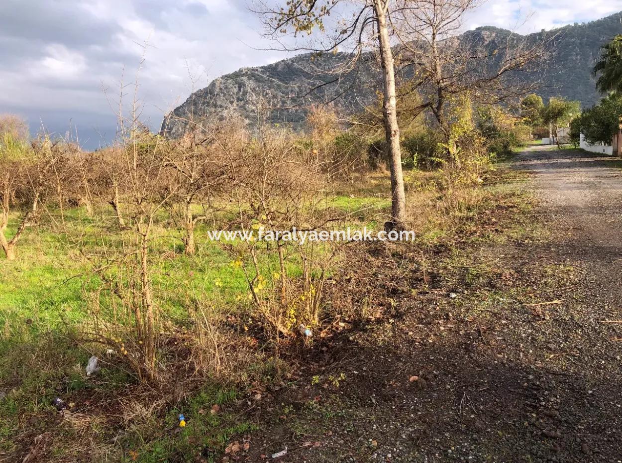 Dalyan Land Zu Verkaufen In Der Nähe Des Zentrums 3000M2 5% Zoning Land Zu Verkaufen
