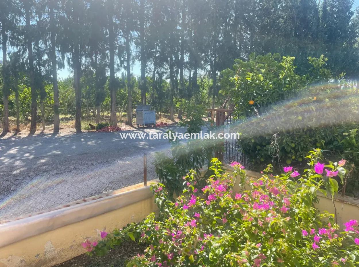 4-Stöckige Wohnung Zum Verkauf In Ortaca Çaylı