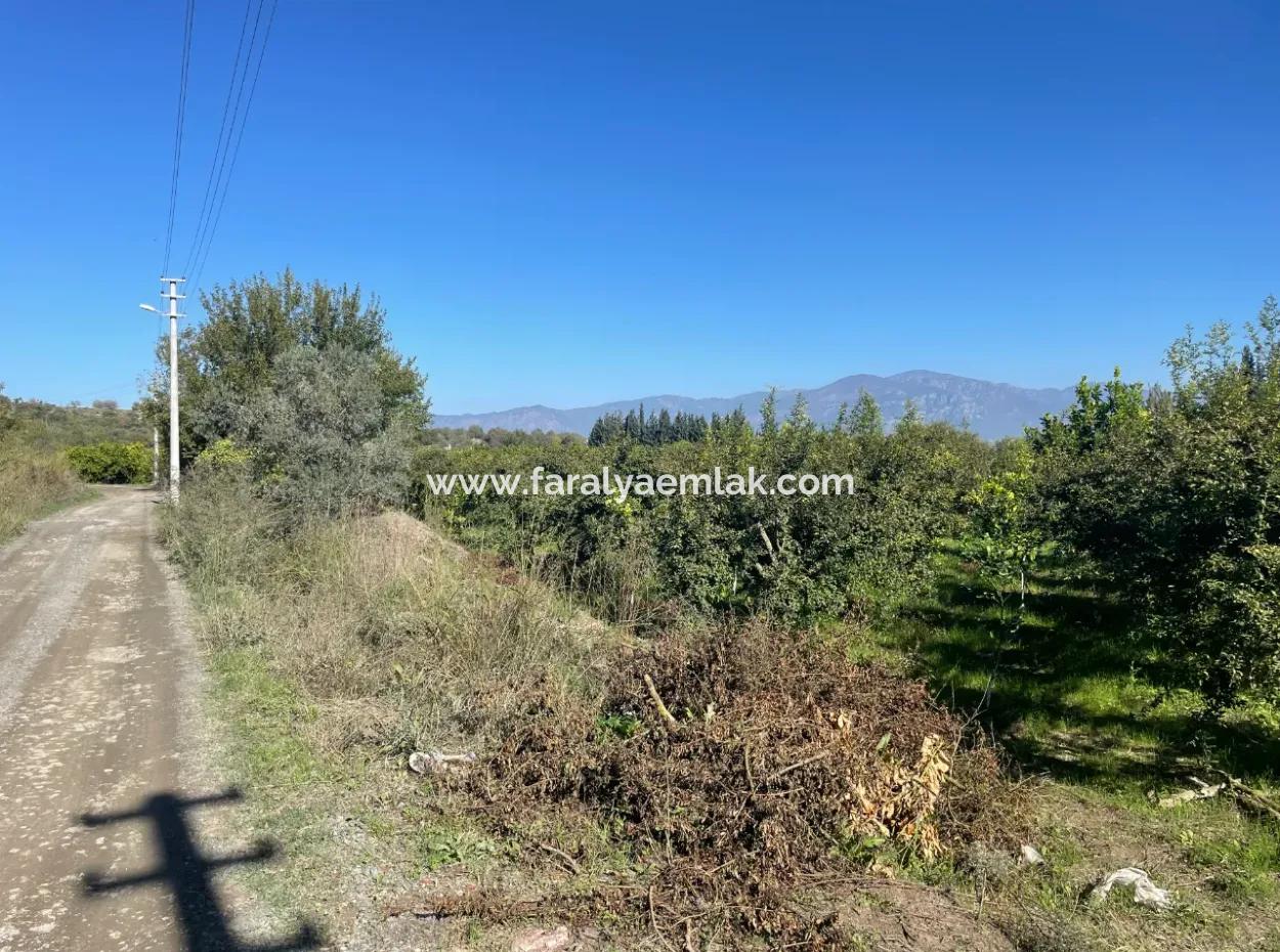 2223M2 Felder Zum Verkauf In Dalyan
