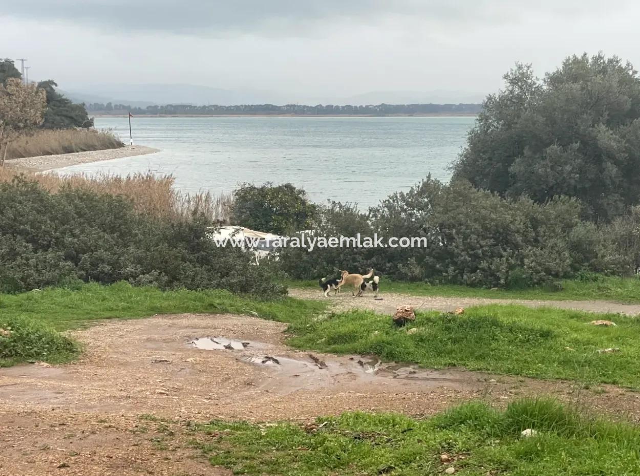 Akyaka Direkt Am Meer 14500M2 Land Zum Verkauf