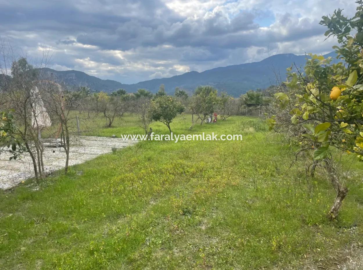 Dalyan Boutique Hotel Zum Verkauf Bungolevler Zum Verkauf In 11.000M2 Grundstück