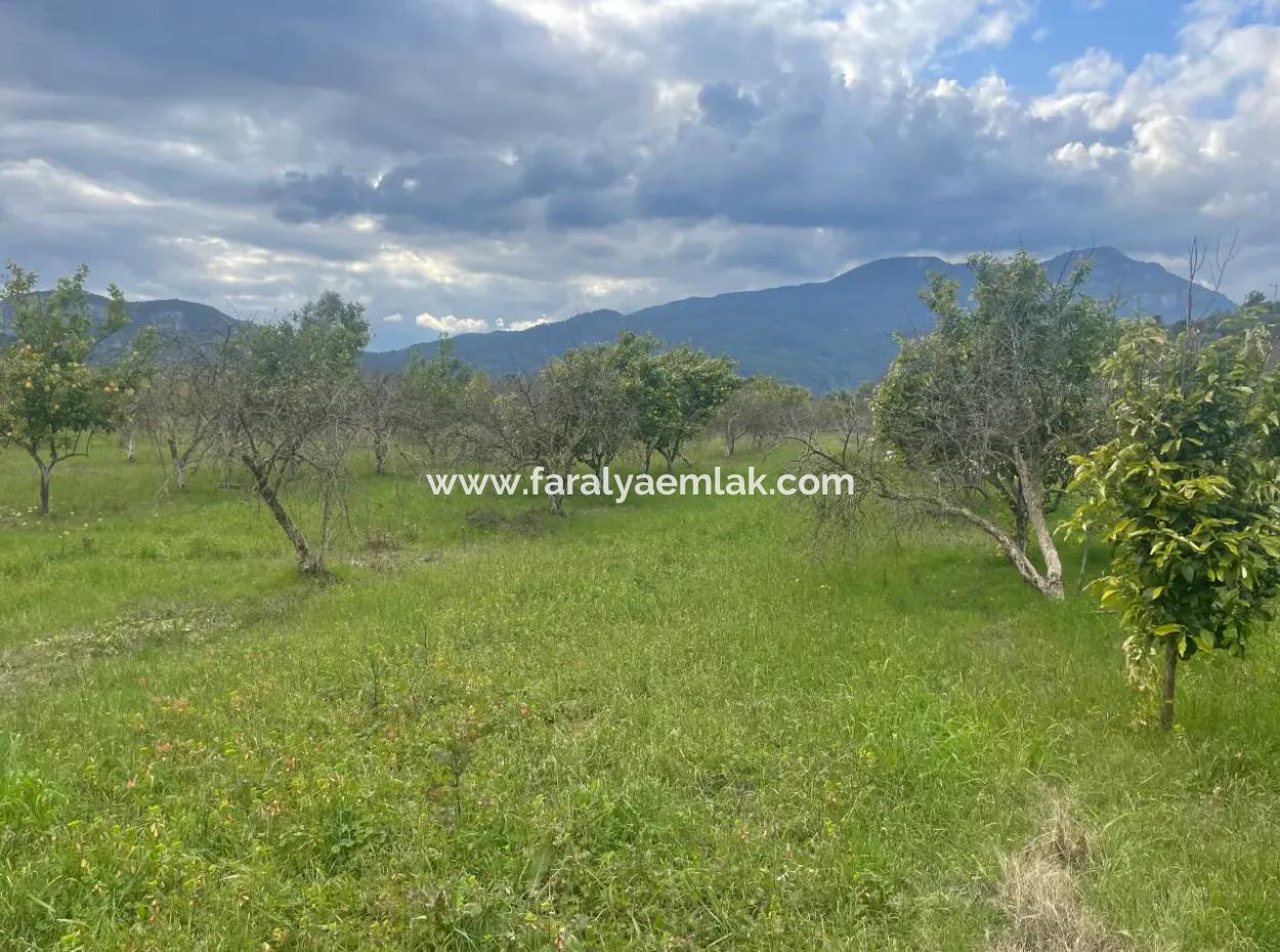 Dalyan Boutique Hotel Zum Verkauf Bungolevler Zum Verkauf In 11.000M2 Grundstück