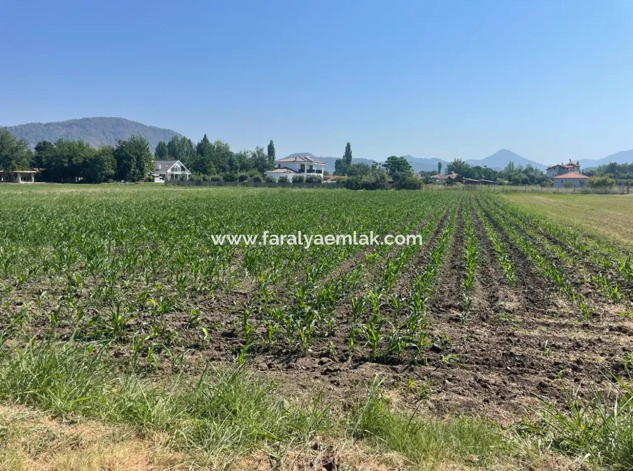Grundstück Zum Verkauf Von 2715M2 Im Bebauten Gebiet Des Dorfes In Okçular